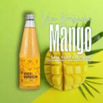 Kombucha Mango